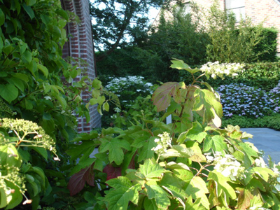 Landscape architecture city garden Gistel Belgium