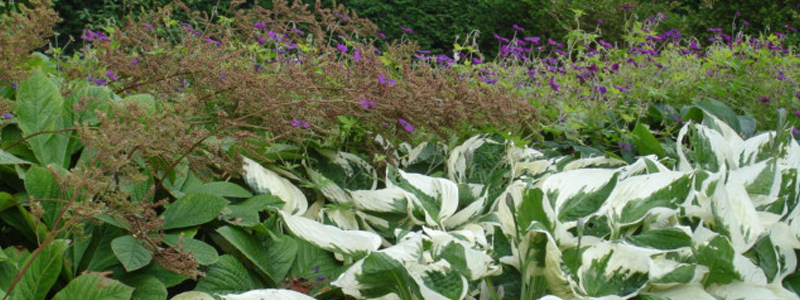 Landscape architecture city garden Gistel Belgium