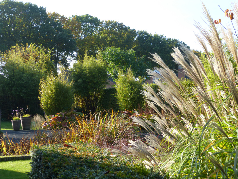 Landscape architecture city garden Jabbeke Belgium