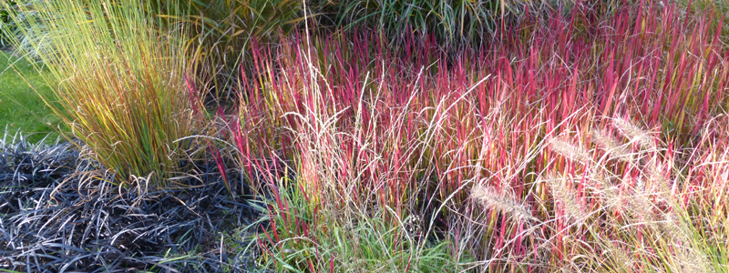 Landscape architecture city garden Jabbeke Belgium