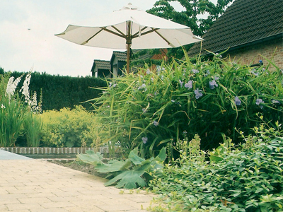 Landscape architecture city garden Varsenare Belgium