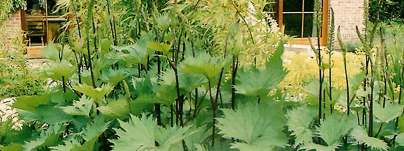 Landscape architecture city garden Varsenare Belgium