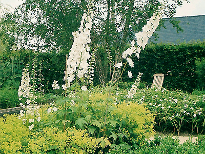 Landscape architecture city garden Varsenare Belgium