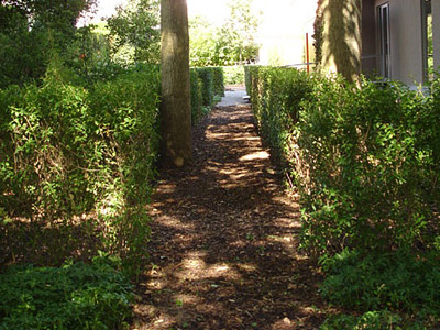 landscape architect woodland garden Ostend Belgium