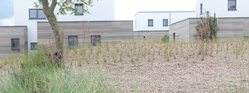 landscape architect holiday park Breeduyn Village Bredene