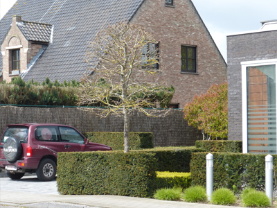 landscape architect office park Crelan Belgium