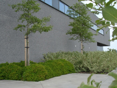 landscape architect office park Ostend Belgium